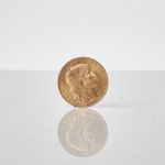 1338 5620 GOLD COIN